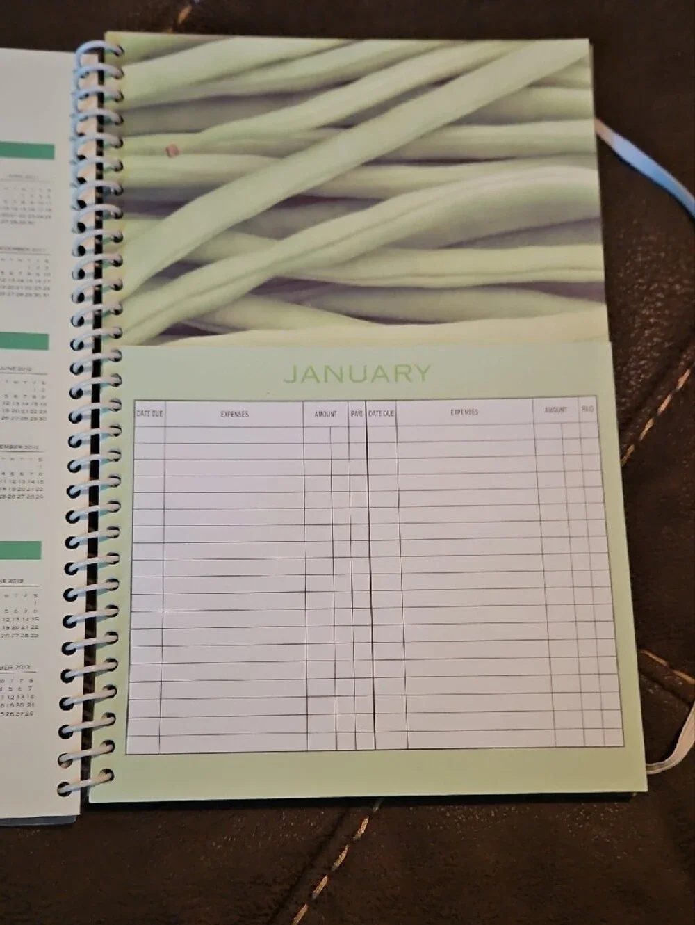 Home Finance Bill Organizer - Vegetables Edition (Light Blue)